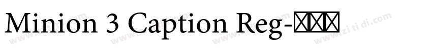 Minion 3 Caption Reg字体转换 Minion 3 Caption Reg字体转换